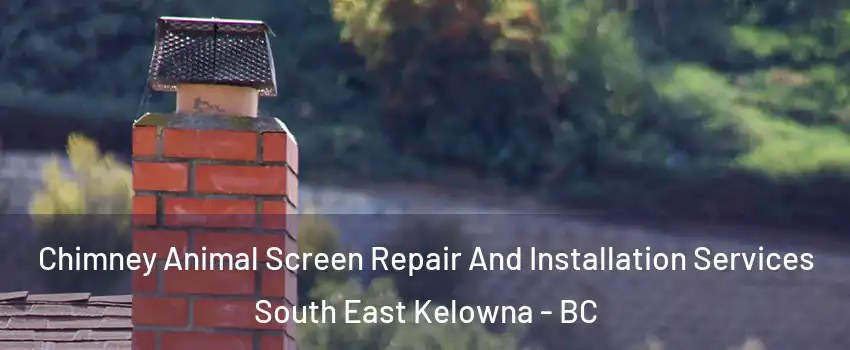  Chimney Animal Screen Repair And Installation Services South East Kelowna - BC