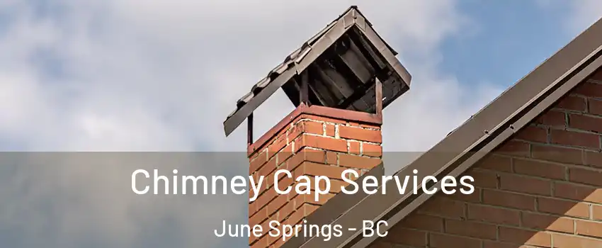  Chimney Cap Services June Springs - BC