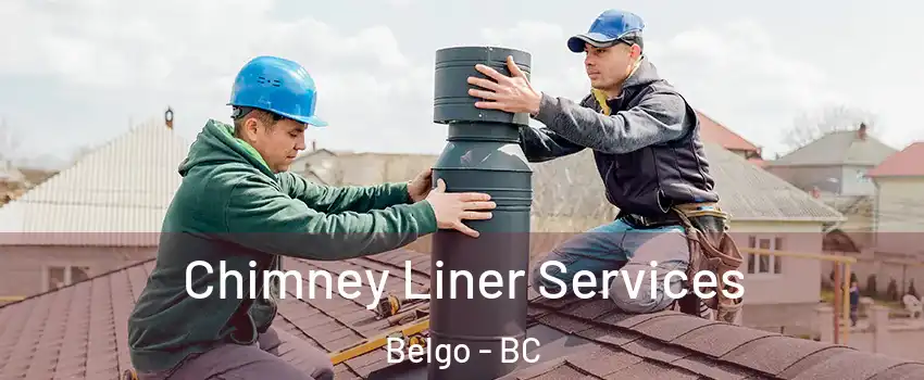  Chimney Liner Services Belgo - BC