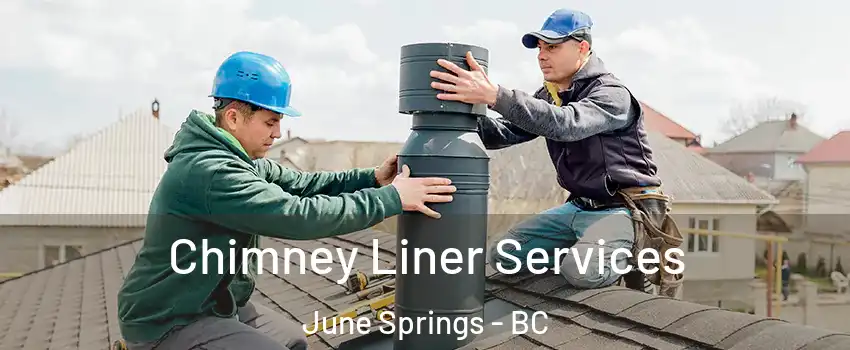  Chimney Liner Services June Springs - BC