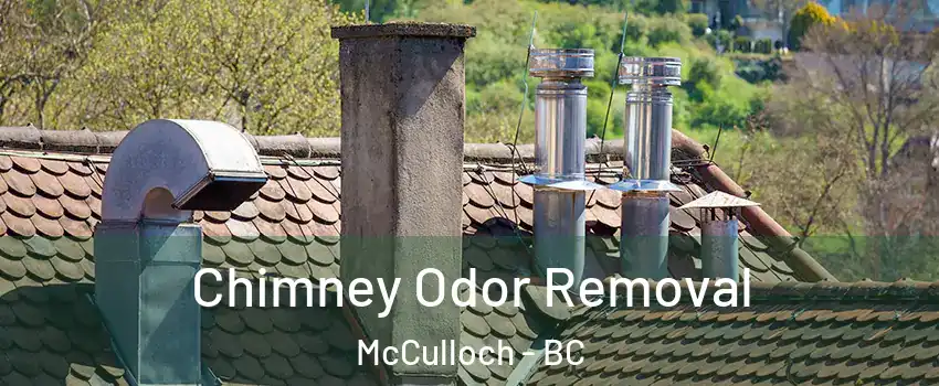  Chimney Odor Removal McCulloch - BC