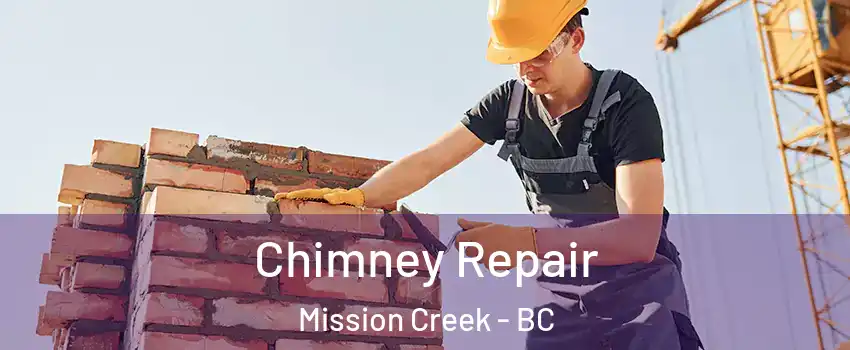  Chimney Repair Mission Creek - BC