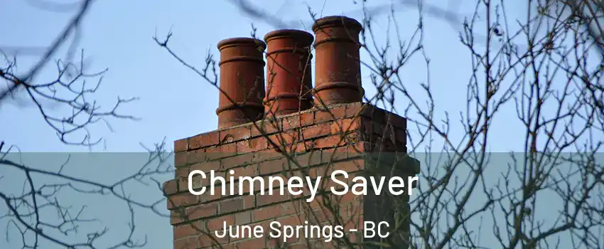  Chimney Saver June Springs - BC