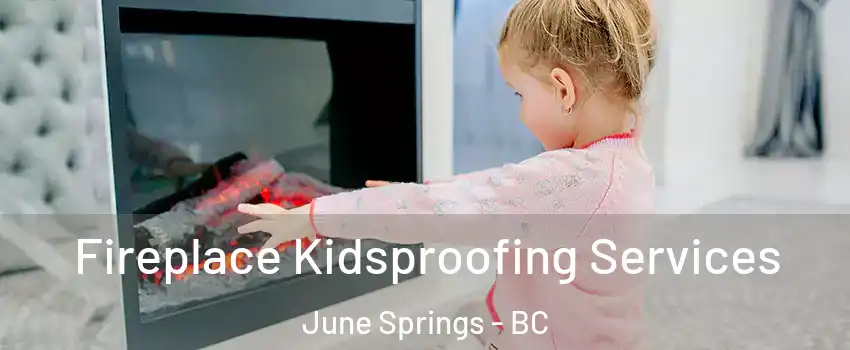  Fireplace Kidsproofing Services June Springs - BC