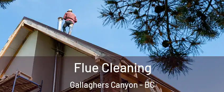  Flue Cleaning Gallaghers Canyon - BC