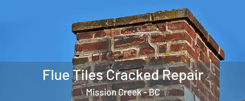  Flue Tiles Cracked Repair Mission Creek - BC