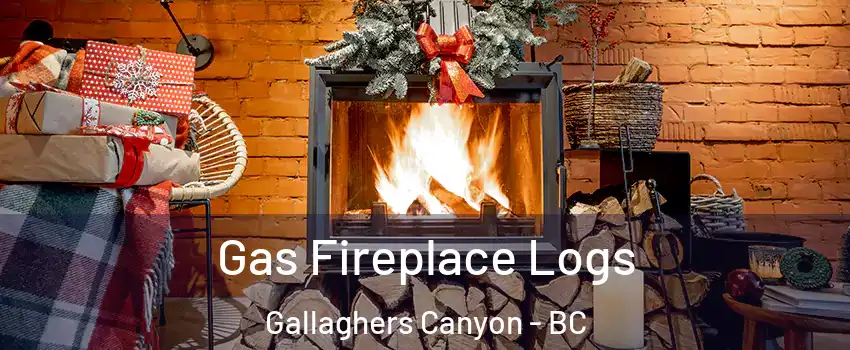  Gas Fireplace Logs Gallaghers Canyon - BC