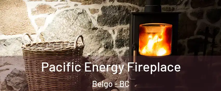  Pacific Energy Fireplace Belgo - BC