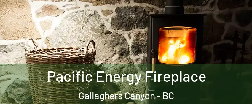  Pacific Energy Fireplace Gallaghers Canyon - BC