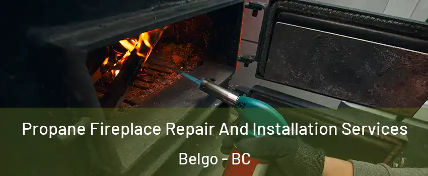 Propane Fireplace Repair And Installation Services Belgo - BC