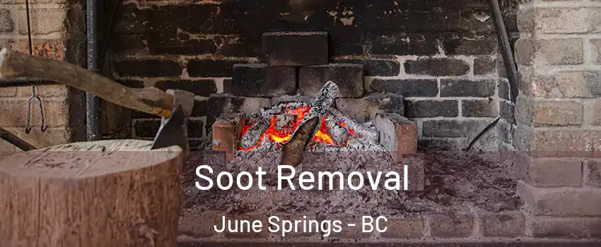  Soot Removal June Springs - BC