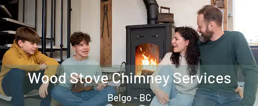  Wood Stove Chimney Services Belgo - BC